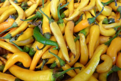 Piment fort - Ho Chi Minh