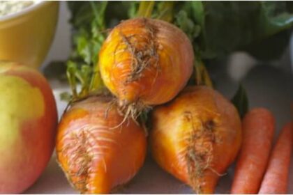 Betterave - Touchstone Gold