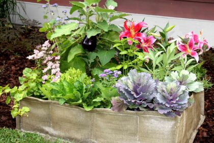 Le Junior de Little Acre