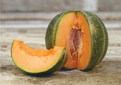 Melon – Petit gris de Renne