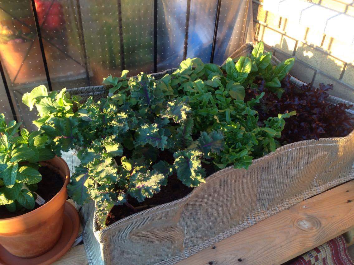 Le jardin balconier