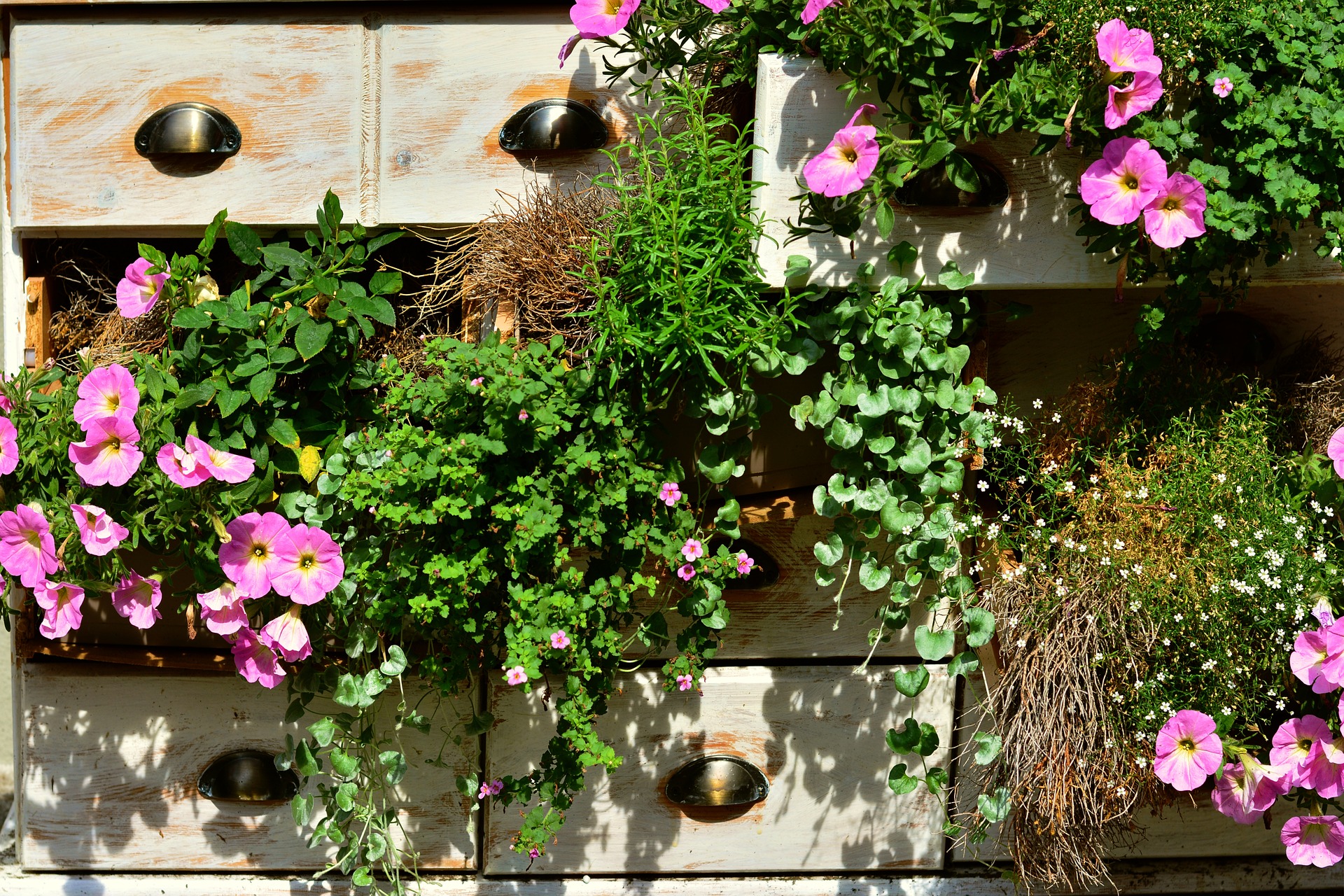 JARDINER EN VILLE : SOLUTIONS POUR LE POTAGER BALCONIER