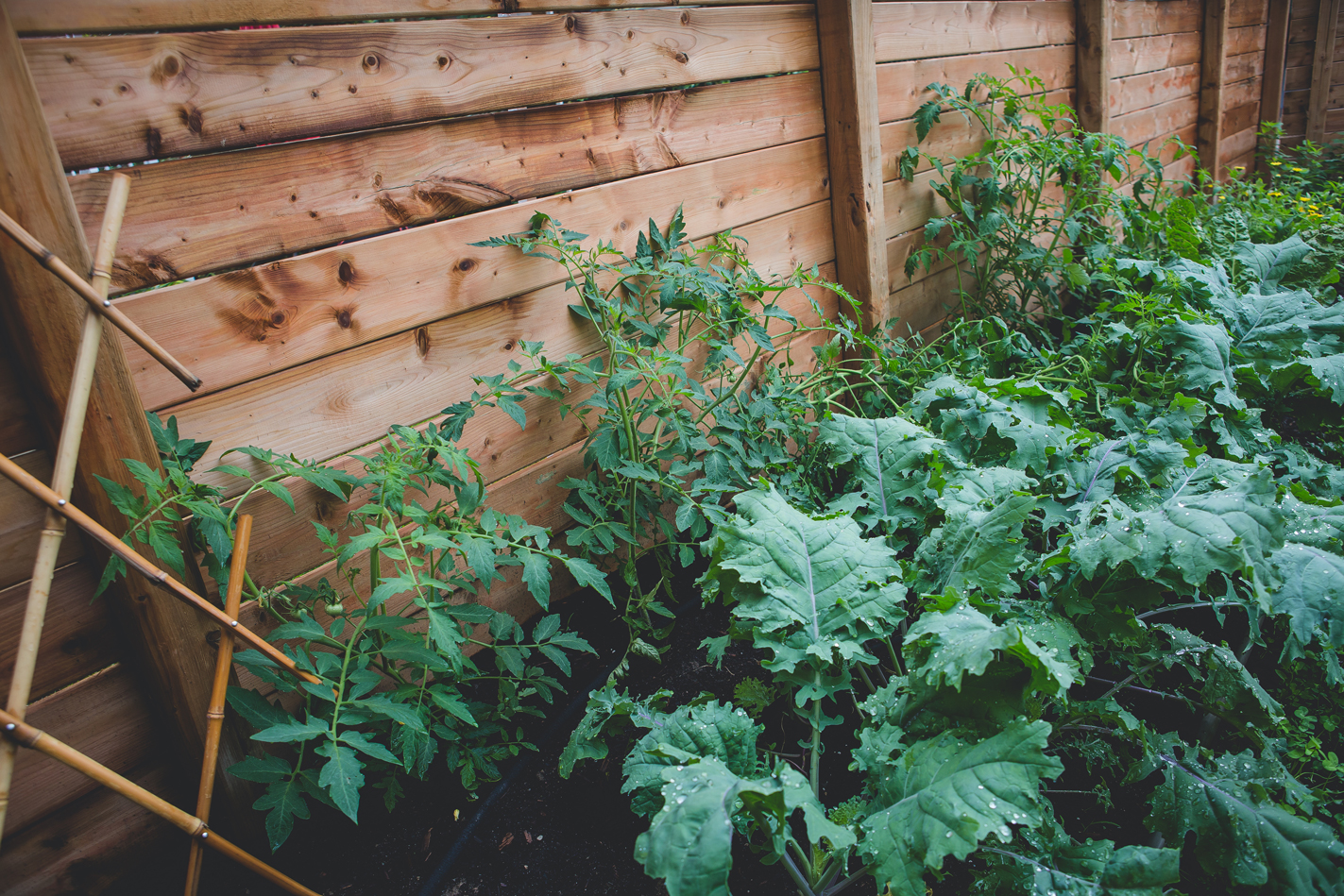 La fermeture du jardin