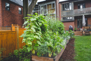 Construire Un Potager Hors Terre Semis Urbains