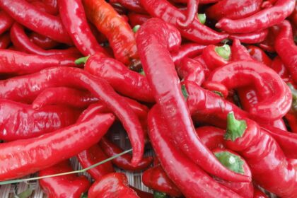 Poivron (doux) - Jimmy Nardello poivron doux rouge