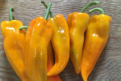 Piment fort - Banane douce