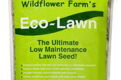 Semences Eco-Lawn