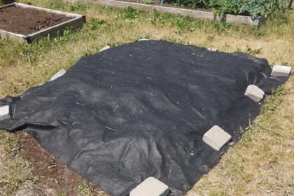 Géotextile 4' x 12'