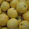 Yuzu Orange – Image 3