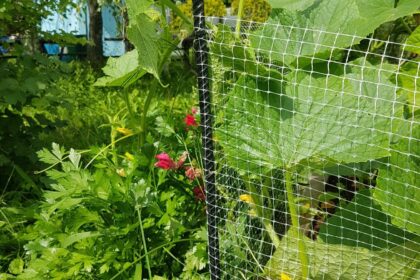 Poteaux de Clôture en Barres d'Armature