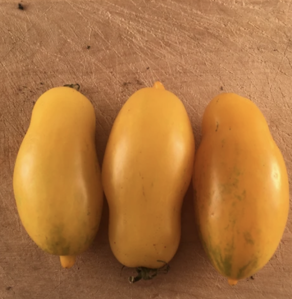 Tomate - Jaune Sauce Banana Legs
