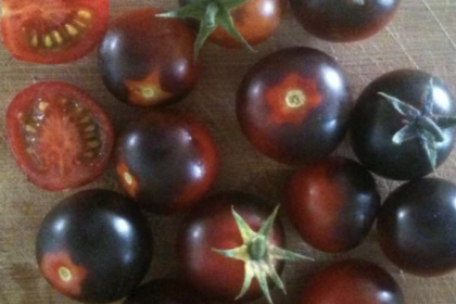 Tomate - Danser avec les Schtroumpfs