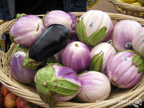 Basket of rosa bianca eggplants