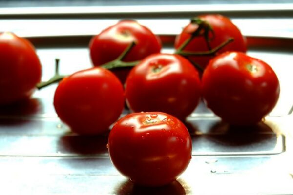 Tomate - Sugar Cherry