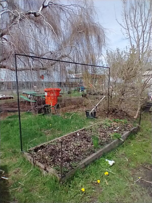 Forfait construction potager surélevé "Essentiel"