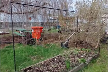 Forfait construction potager surélevé "Essentiel"