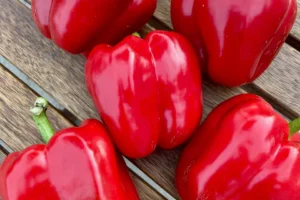 Spread of fire red sweet peppers on a deck.