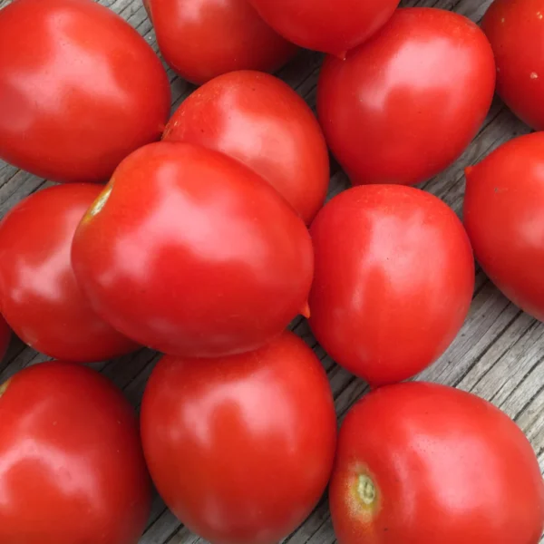 Pile of plum sized ruby soul tomatoes