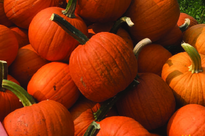 Citrouille - Tarte de la Nouvelle-Angleterre