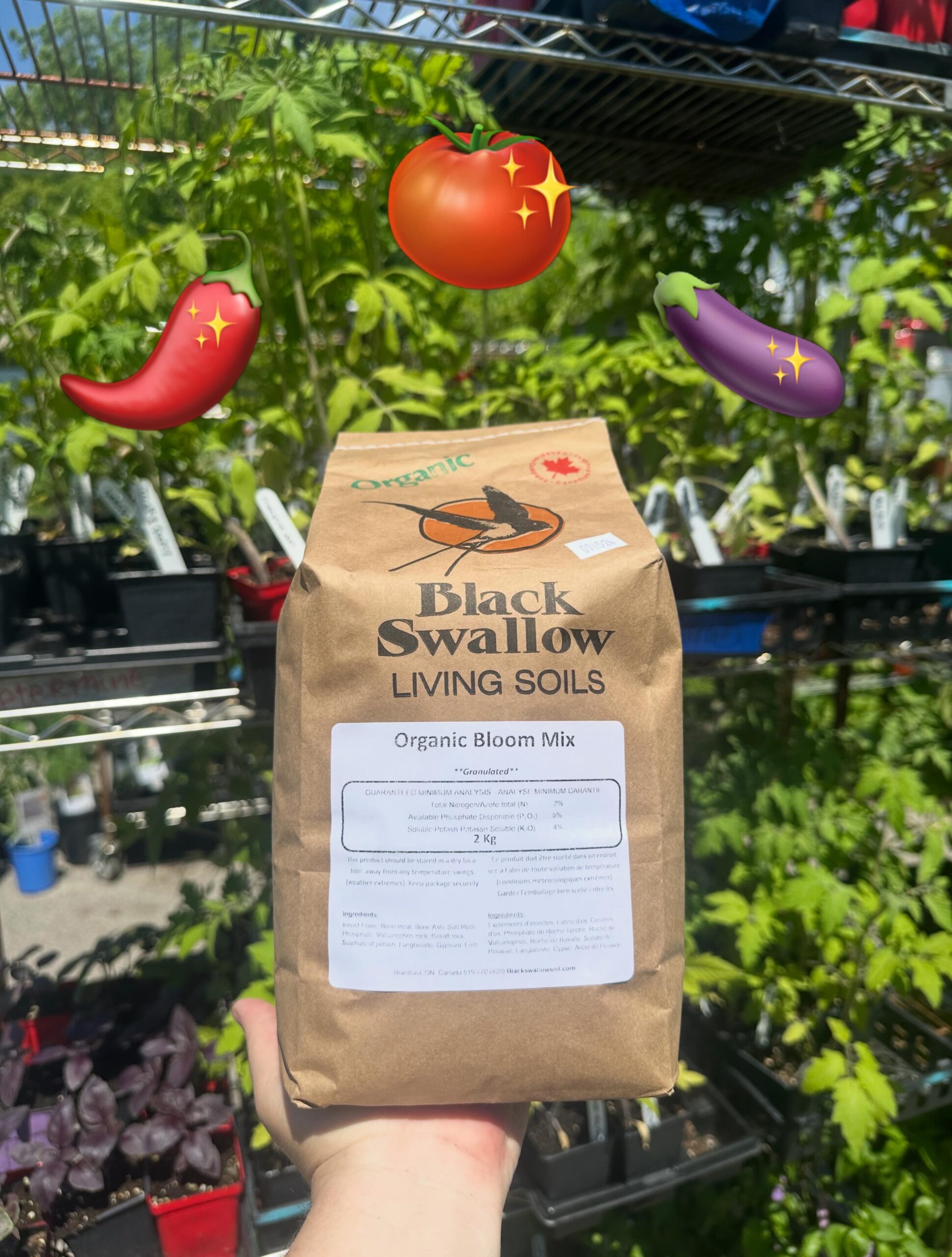 Black swallow Fertilisant biologique pour fleurs et fruits