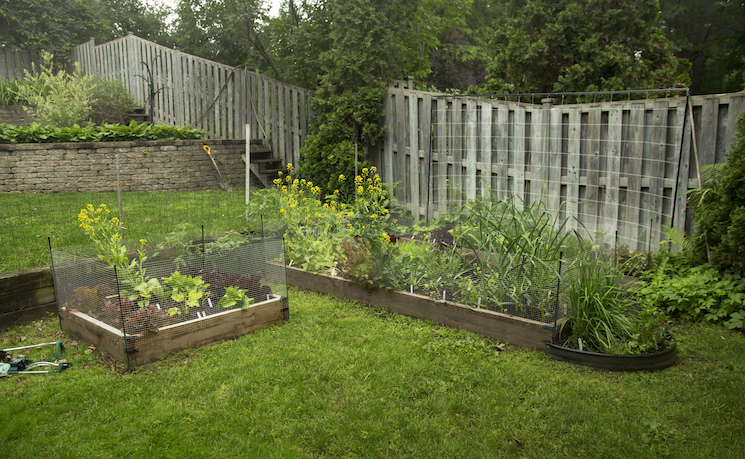 retaining-wall-gardens.jpeg