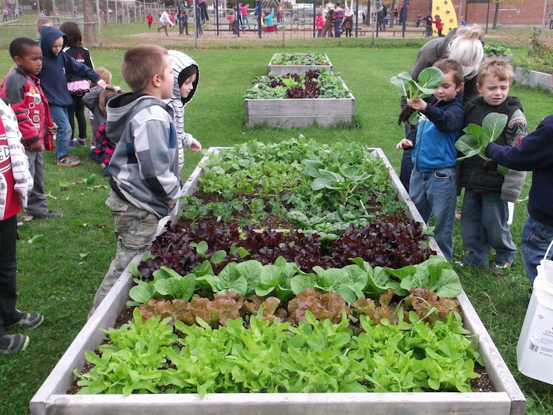 Betton. Les élèves ont suivi des ateliers autour du jardin