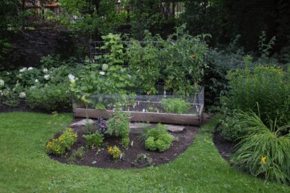 Kit de bricolage: Jardin Potager Surélevé